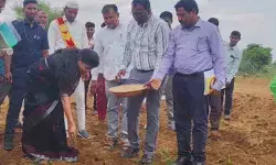 సాగుబడిలో మానుకోట కలెక్టర్ స్నేహ శబరీష్