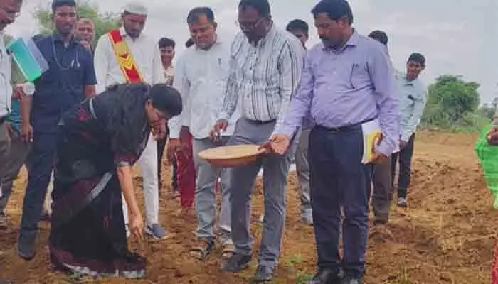 సాగుబడిలో మానుకోట కలెక్టర్ స్నేహ శబరీష్ సాగుబడిలో మానుకోట కలెక్టర్ స్నేహ శబరీష్