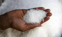 Sugar: చక్కెర ధరలకు మళ్లీ రెక్కలు Sugar: చక్కెర ధరలకు మళ్లీ రెక్కలు