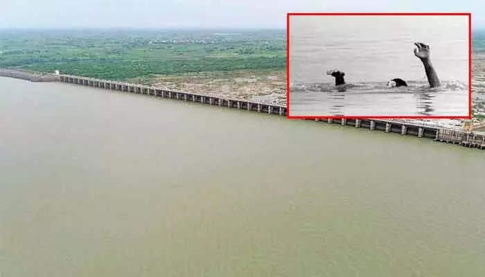 శ్రీరామ్ సాగర్ ప్రాజెక్టు వద్ద తీవ్ర విషాదం.. నలుగురు గల్లంతు శ్రీరామ్ సాగర్ ప్రాజెక్టు వద్ద తీవ్ర విషాదం.. నలుగురు గల్లంతు