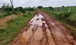 స్వరాష్ట్రంలోనూ స్వాతంత్ర్యం రాని గిరిజనుల తండాలు! స్వరాష్ట్రంలోనూ స్వాతంత్ర్యం రాని గిరిజనుల తండాలు!