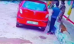 బ్రాహ్మణపల్లి గ్రామంలో కోతుల బెడద బ్రాహ్మణపల్లి గ్రామంలో కోతుల బెడద