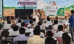 ఎల్నినో ప్రభావాన్ని దృష్టిలో ఉంచుకొని ప్రత్యామ్నాయ పంటల సాగు చేపట్టాలి ఎల్నినో ప్రభావాన్ని దృష్టిలో ఉంచుకొని ప్రత్యామ్నాయ పంటల సాగు చేపట్టాలి