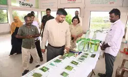 రైతులు ప్రత్యామ్నాయ పంటల వైపు మొగ్గు చూపాలి : కలెక్టర్ కుమార్ దీపక్