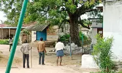 నర్సాపూర్ పట్టణంలో కోతుల బీభత్సం..  బయటకు రావాలంటే జంకుతున్న జనం