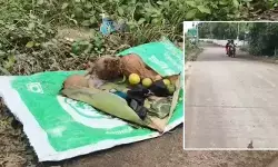 భీమవరం కలెక్టరేట్ రోడ్డులో క్షుద్ర పూజల కలకలం!