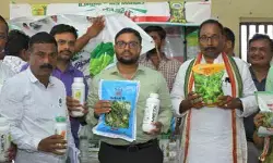 ఎల్‌నీనో ప్రభావం.. ఆరుతడి పంటలే రైతులకు రక్షణ కవచం
