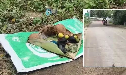 భీమవరం కలెక్టరేట్ రోడ్డులో క్షుద్ర పూజల కలకలం!