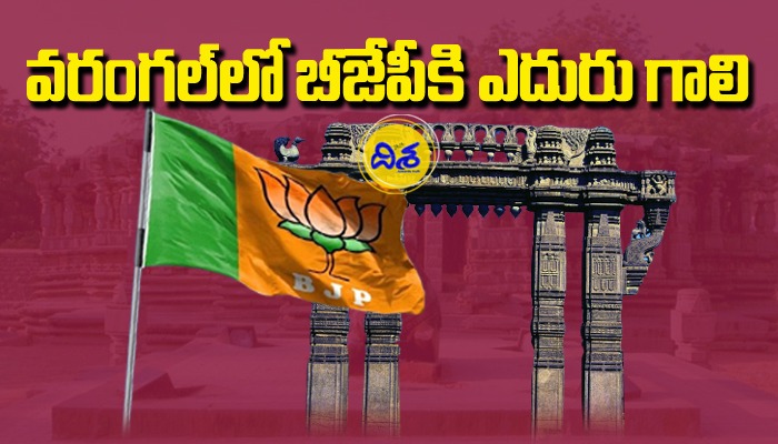 TRS fires on BJP