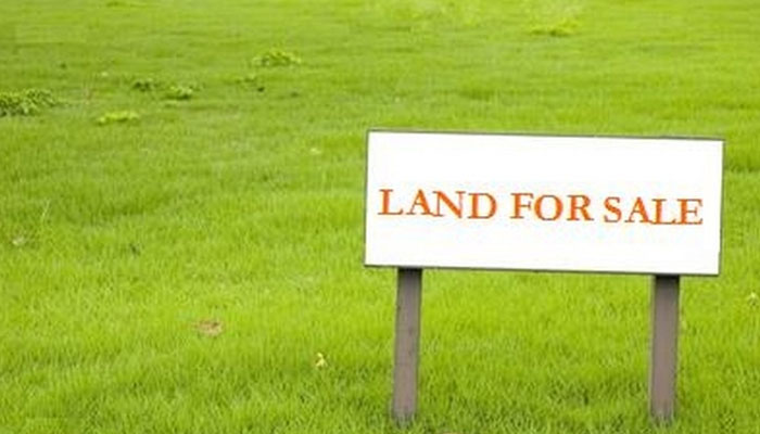 Lands for Sale