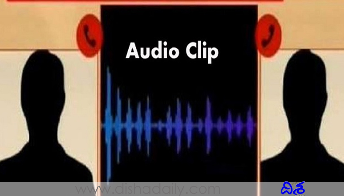 ZPTC Sarita, Tehsildar Audio Viral