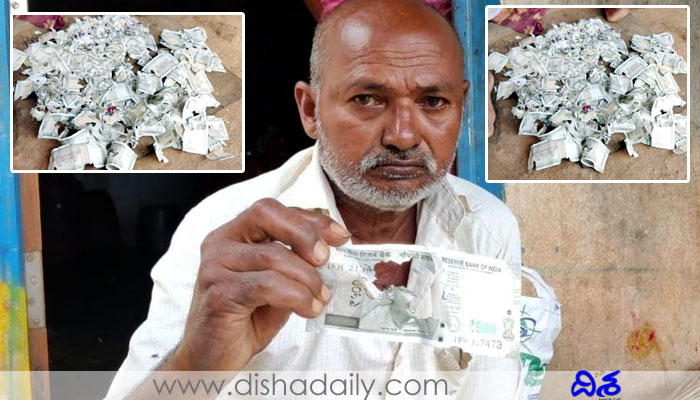 rats, two lakh cash