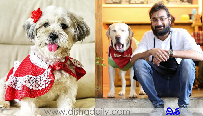 Pet-Friendly Cafes In Hyderabad