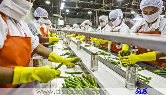 Microfood Processing