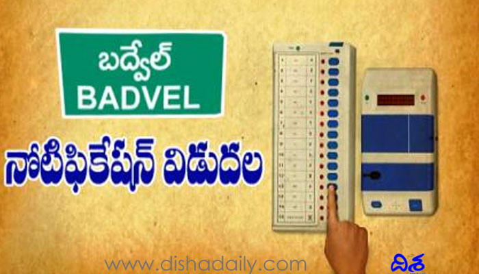 Badvel by-election